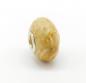 Preview: Fossile coral - EdelELB